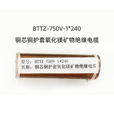 BTTZ-750V-1X240